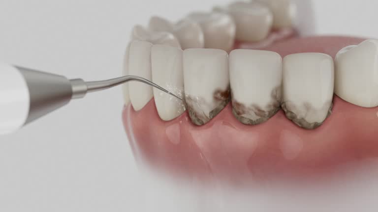 Reliable Dental contractor in Wellsville, KS by Dentist Open Now